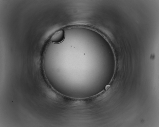 X0000101431406200807141230