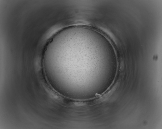 X0000101431407200807141230