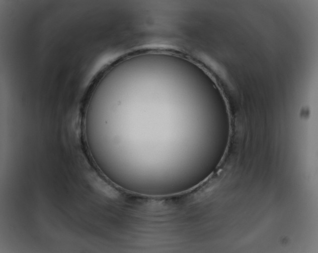X0000101431408200807141230