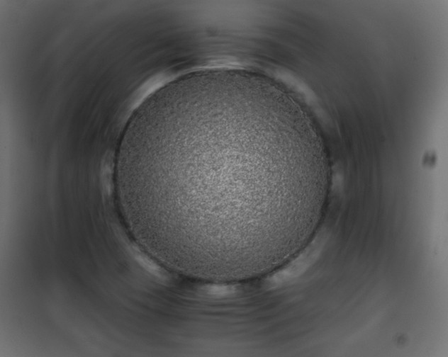 X0000101431409200807141230