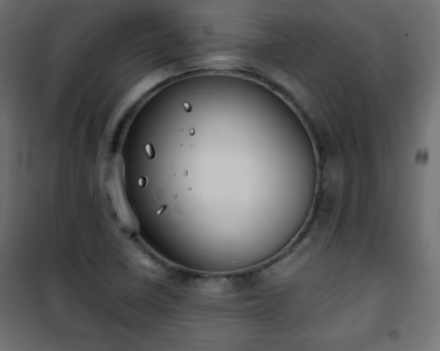 X0000101431410200807141230