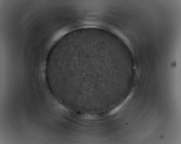 X0000101431411200807141230