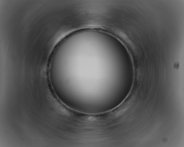 X0000101431412200807141230