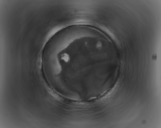 X0000101431413200807141230