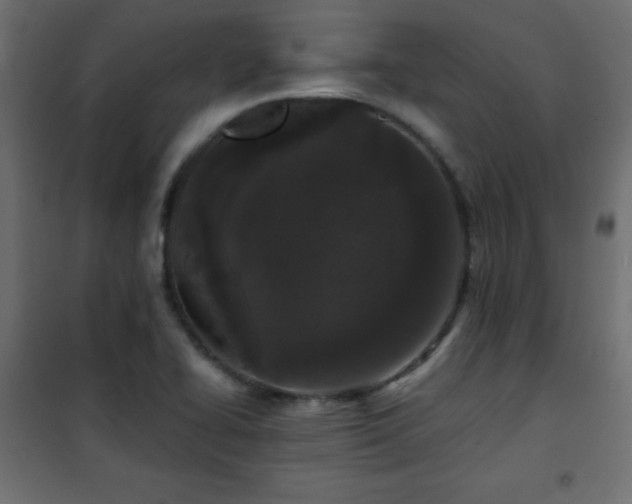 X0000101431414200807141230