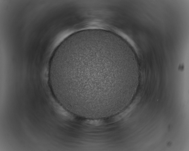 X0000101431415200807141230