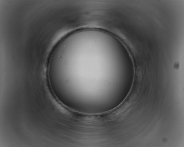X0000101431416200807141230