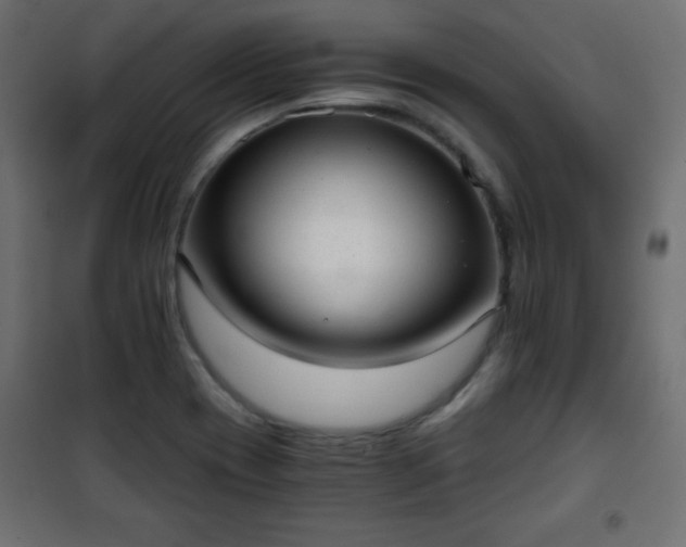 X0000101431417200807141230