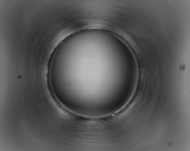 X0000101431418200807141230