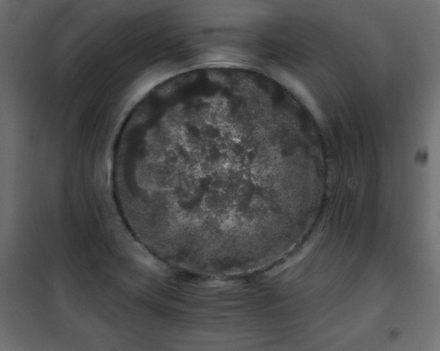 X0000101431419200807141230