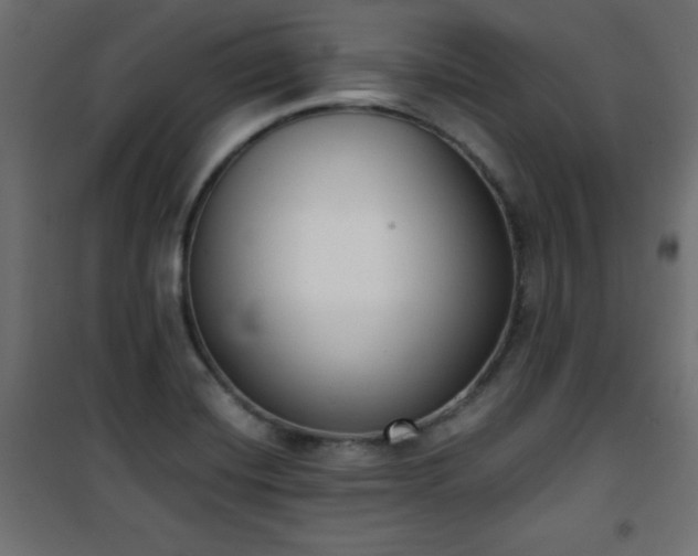 X0000101431420200807141230
