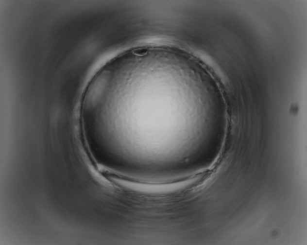 X0000101431421200807141230