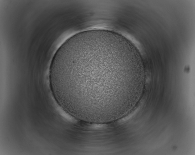 X0000101431423200807141230