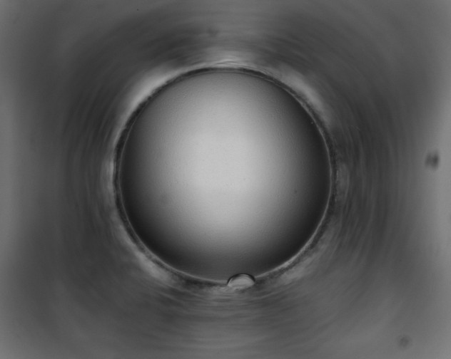 X0000101431424200807141230