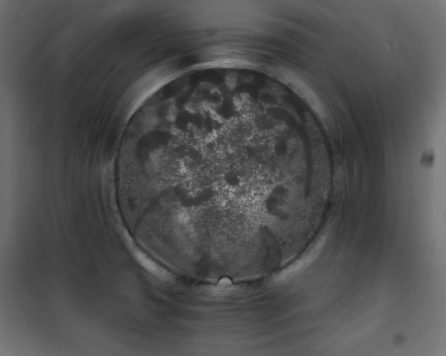 X0000101431425200807141230