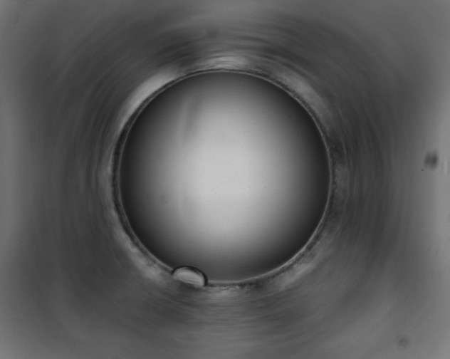 X0000101431426200807141230