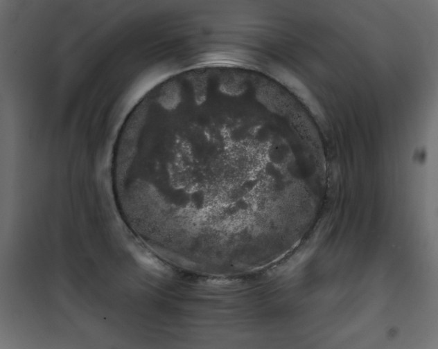 X0000101431427200807141230