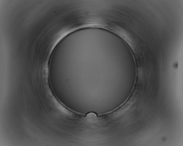X0000101431428200807141230