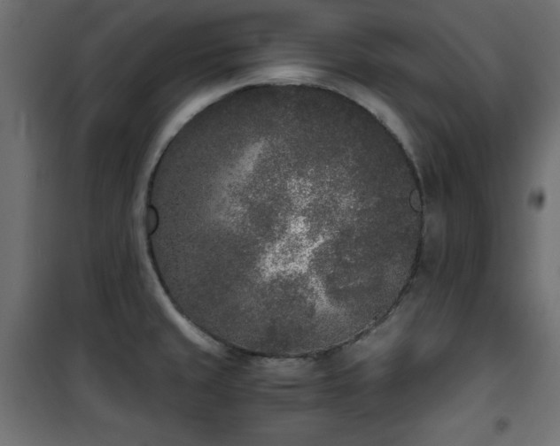 X0000101431429200807141230