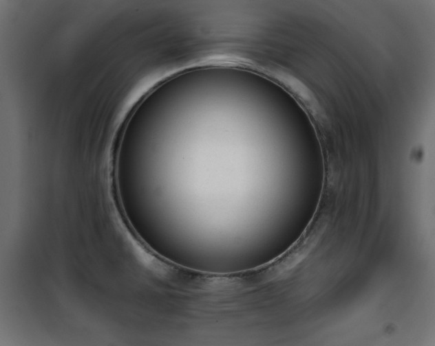 X0000101431430200807141230