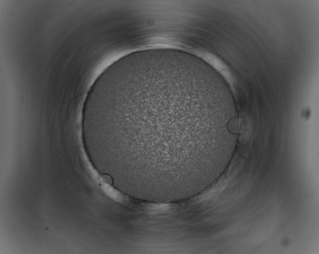 X0000101431431200807141230