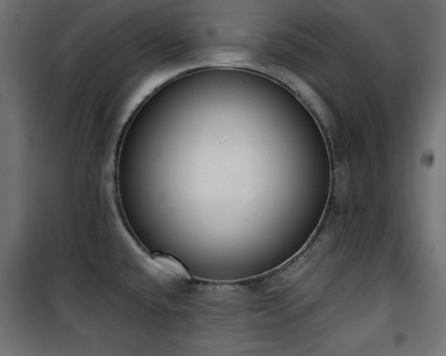 X0000101431432200807141230