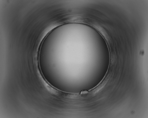 X0000101431434200807141230