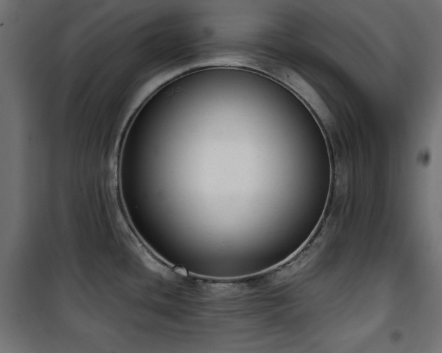 X0000101431436200807141230