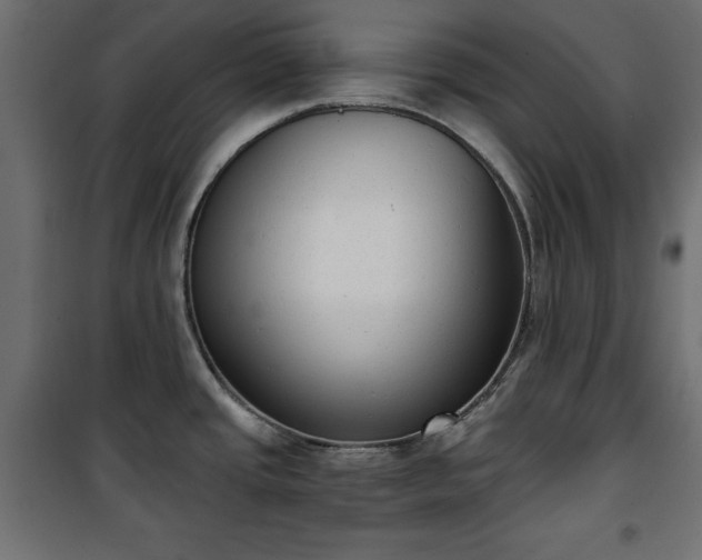 X0000101431437200807141231