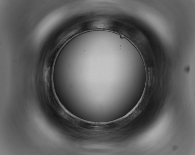 X0000101431438200807141231