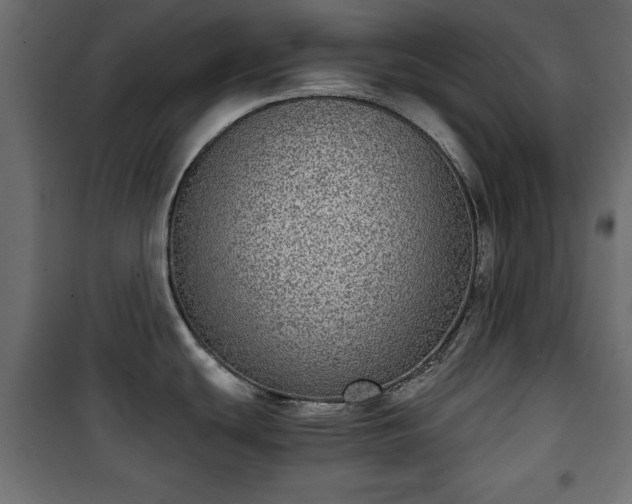 X0000101431439200807141231