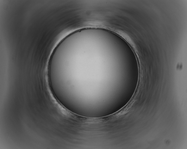 X0000101431440200807141231
