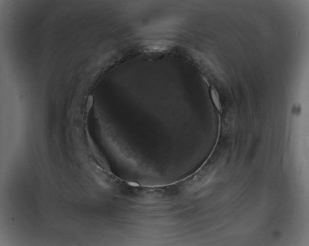 X0000101431441200807141230