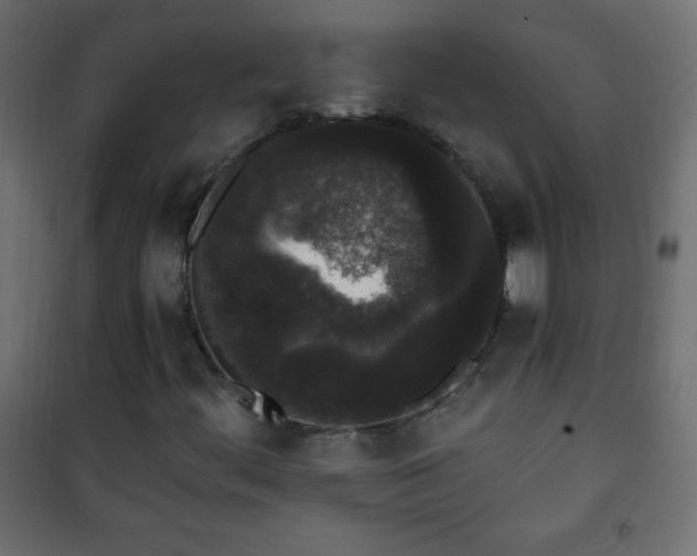 X0000101431444200807141230