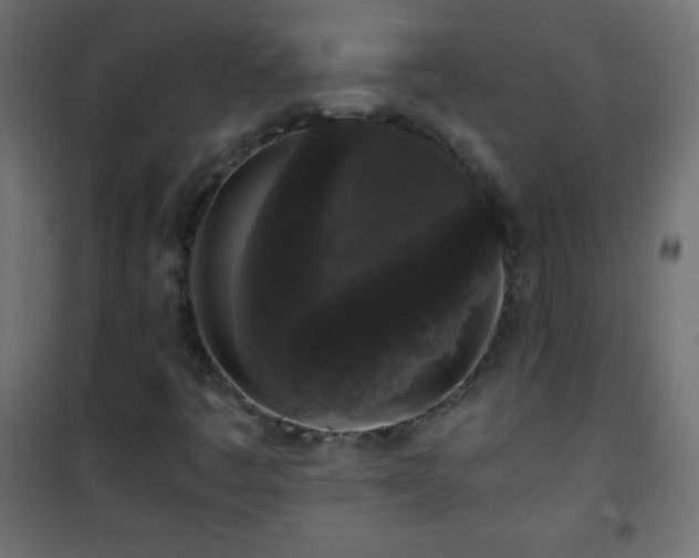 X0000101431445200807141230