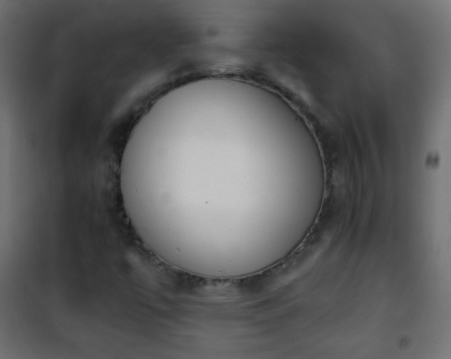 X0000101431447200807141230