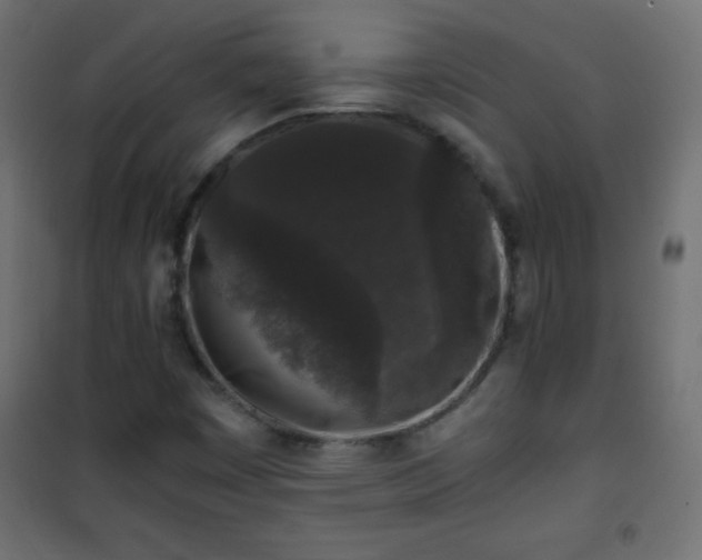 X0000101431449200807141230