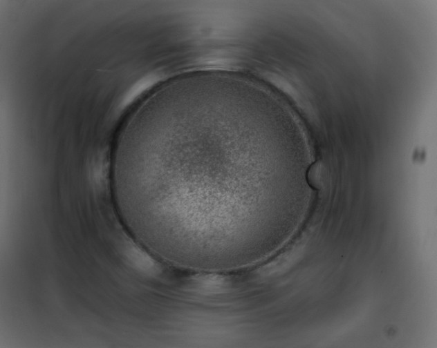 X0000101431450200807141230