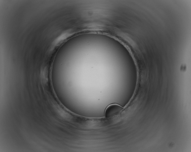 X0000101431451200807141230