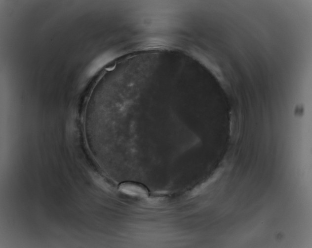 X0000101431453200807141230