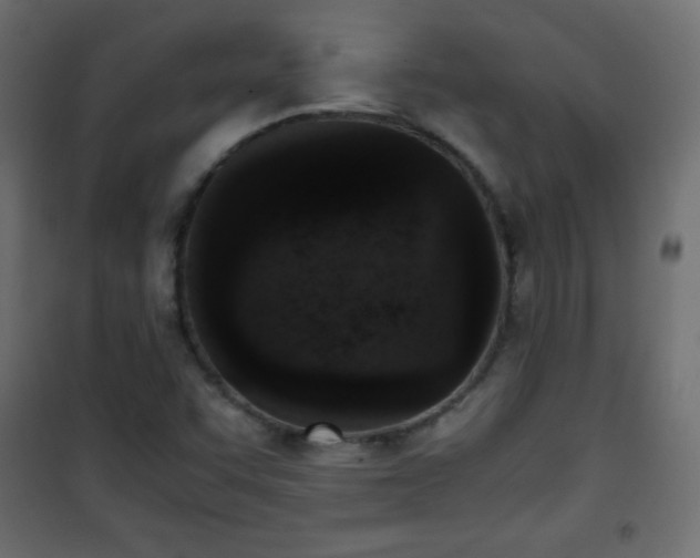 X0000101431455200807141230