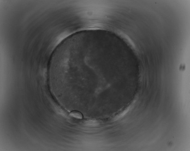 X0000101431457200807141230