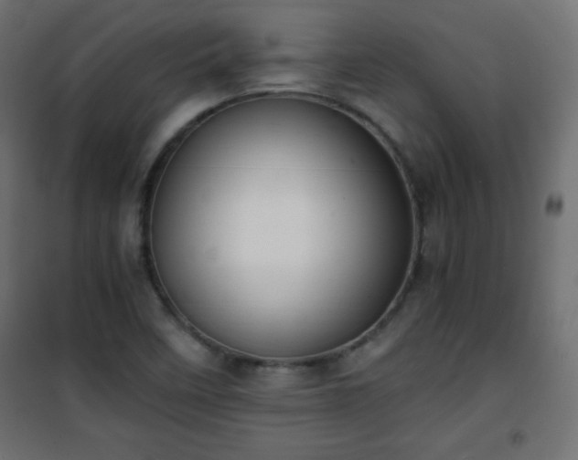 X0000101431458200807141230