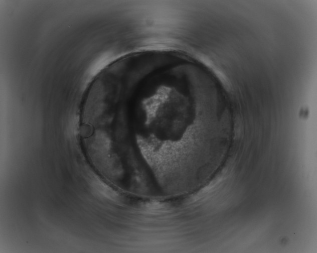 X0000101431459200807141230