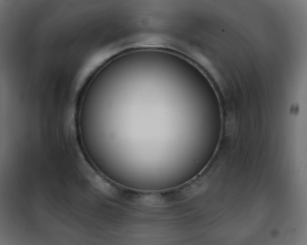 X0000101431464200807141230