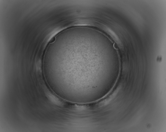 X0000101431465200807141230