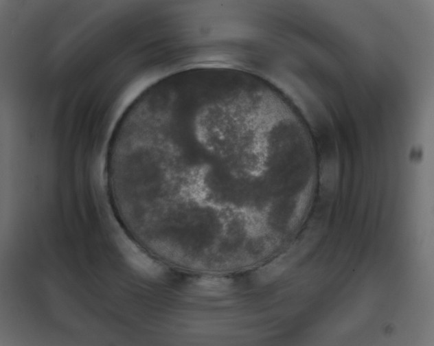 X0000101431466200807141230