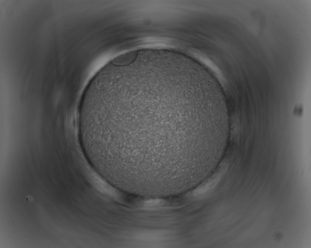 X0000101431467200807141230