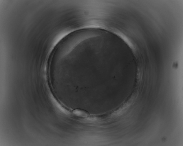 X0000101431468200807141230