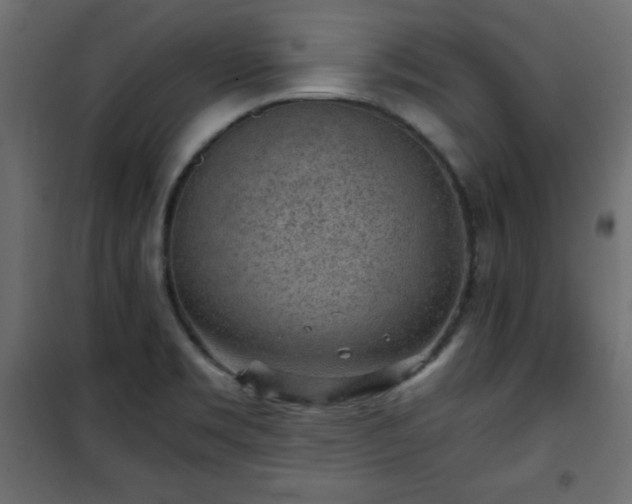 X0000101431469200807141229